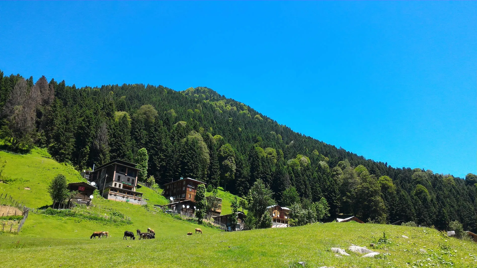 Where is Ayder Plateau?